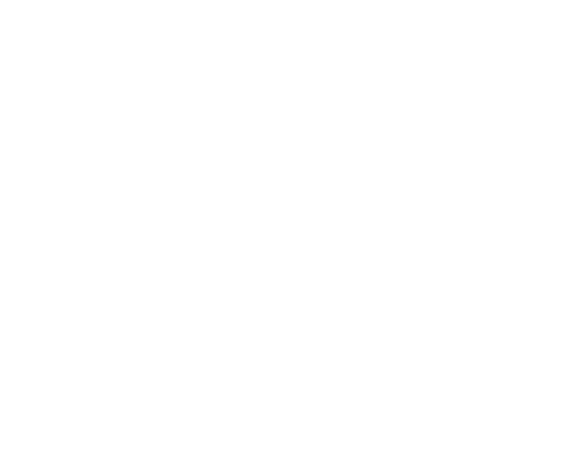 Riprogrammazione Morfo-Funzionale