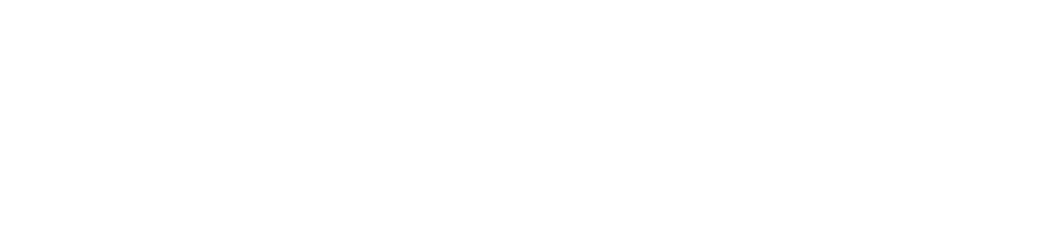 Riprogrammazione Morfo-Funzionale